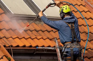 Démoussage et hydrofuge de toiture à Laubressel